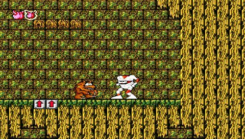 Sega Genesis Collection screenshot 3 for PSP